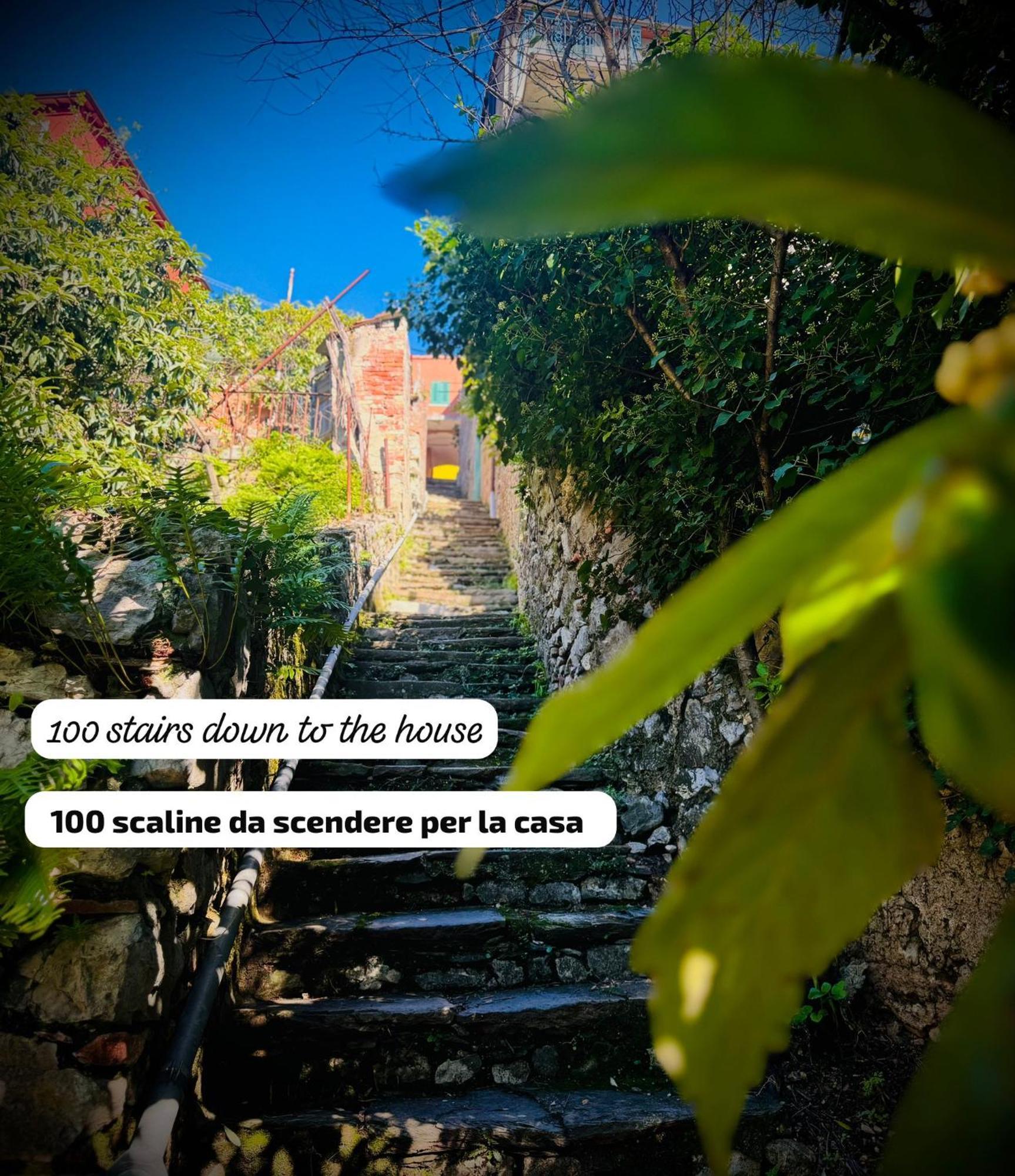Casa Olive 53 Mare Villa La Spezia Eksteriør bilde